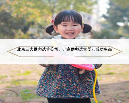 北京三大供卵试管公司，北京供卵试管婴儿成功率高